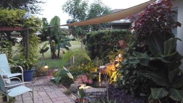 Backyard with patio and pond